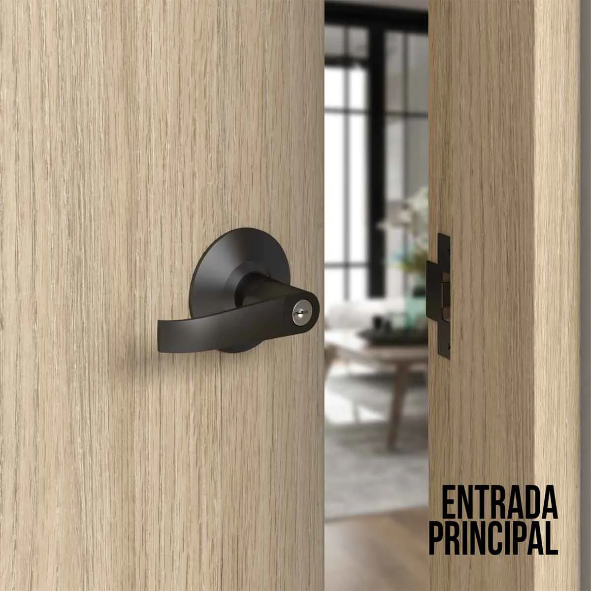 Imagen del producto 16