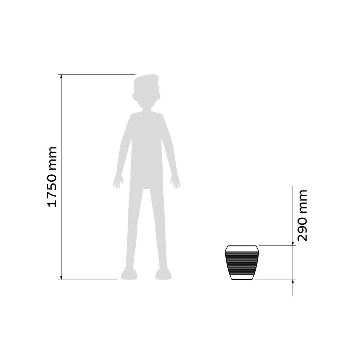 Imagen del producto 2
