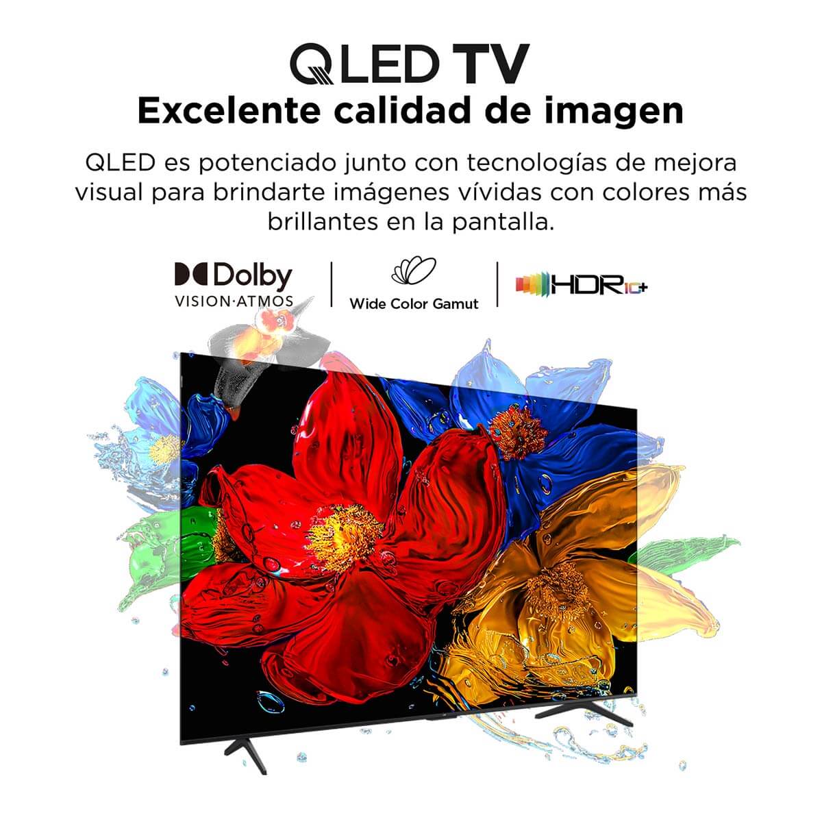 Imagen del producto 11
